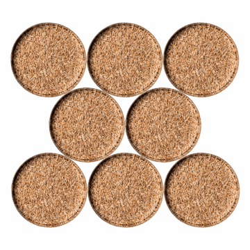  SicherSatt - Brot-Paket